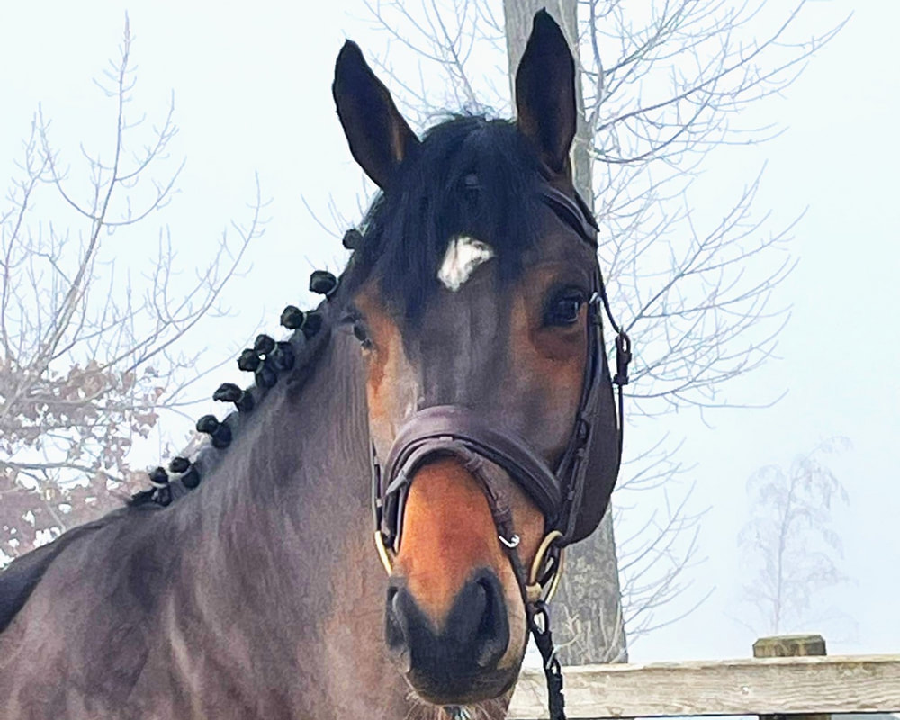 Karamba von Worrenberg