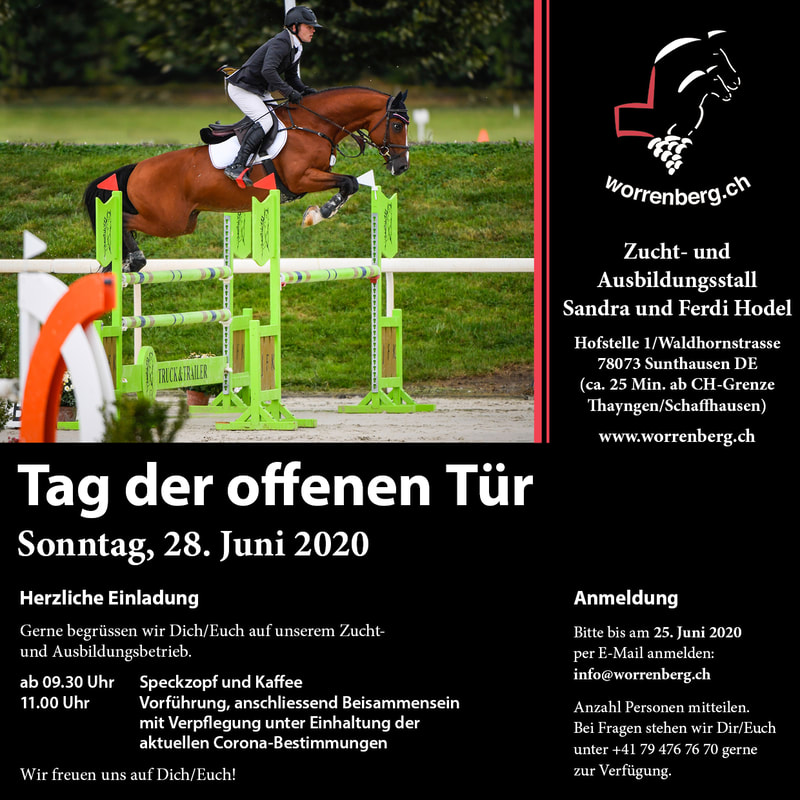 Flyer Tag der offenen Tür